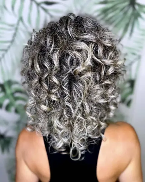 Rizo gris plata